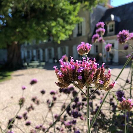 Domaine Saint-Hilaire Hotel Meung-sur-Loire Ngoại thất bức ảnh