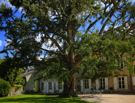 Domaine Saint-Hilaire Hotel Meung-sur-Loire Ngoại thất bức ảnh