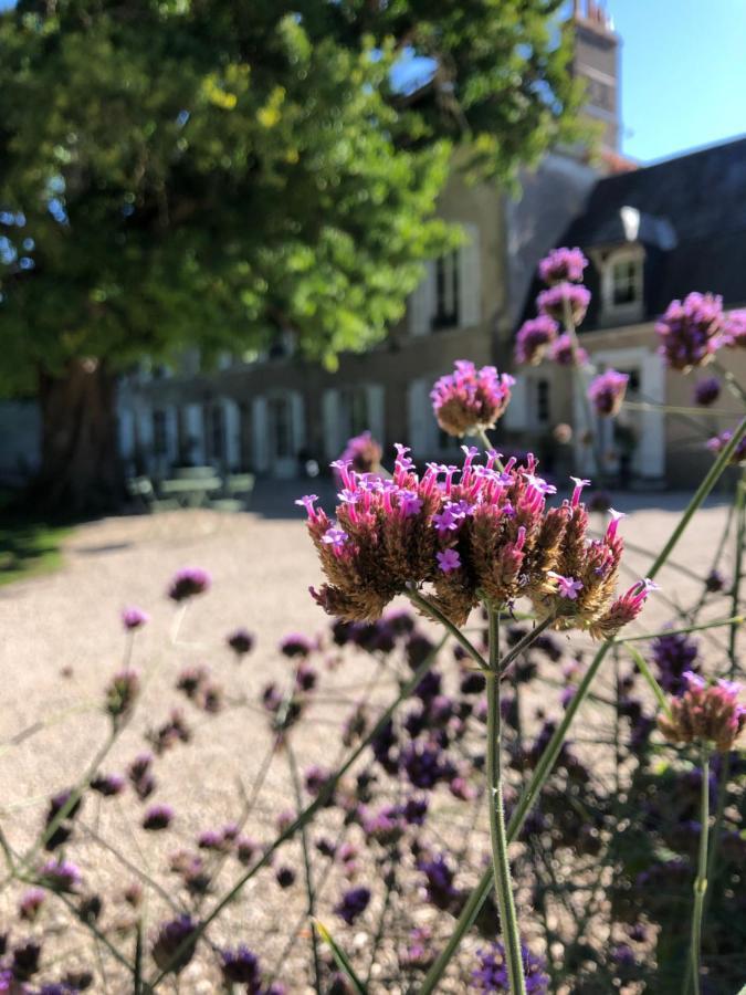 Domaine Saint-Hilaire Hotel Meung-sur-Loire Ngoại thất bức ảnh